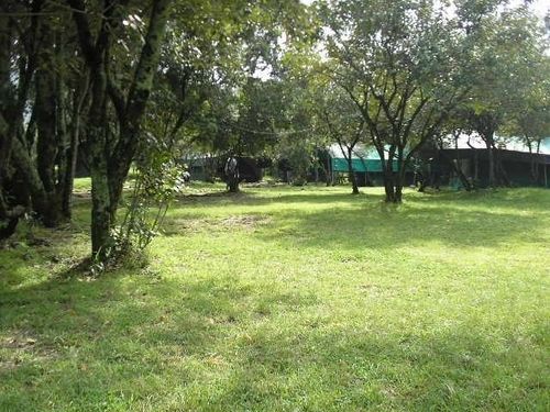 Enkolong Tented Camp Maasai Mara Exterior photo