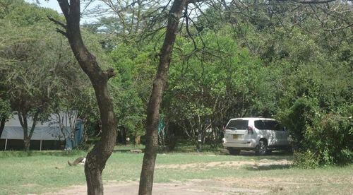 Enkolong Tented Camp Maasai Mara Exterior photo